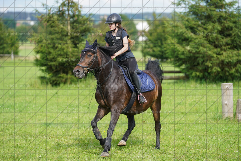 20240622-FAH08062 | Turnierfotografen Bayern, Reitsportbilder aus dem Geländekurs mit Felix Etzel auf dem Gut Waitzacker 2024