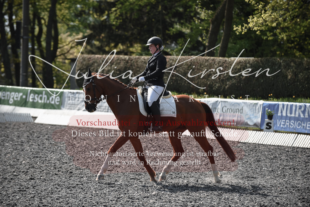 20230513_JK-Röhrsdorf-14-246 | Pferde- und Turnierfotografie in Westsachsen. Pferdeportraits, Auftragszeichnungen und intuitive Kunst.