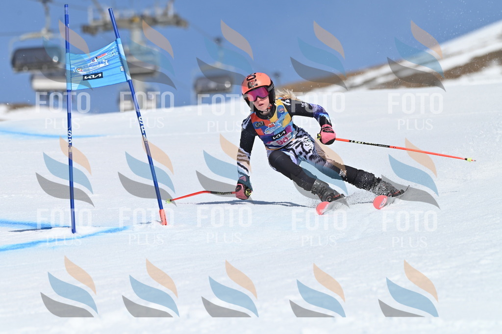 BGV_9375 | holidayphoto