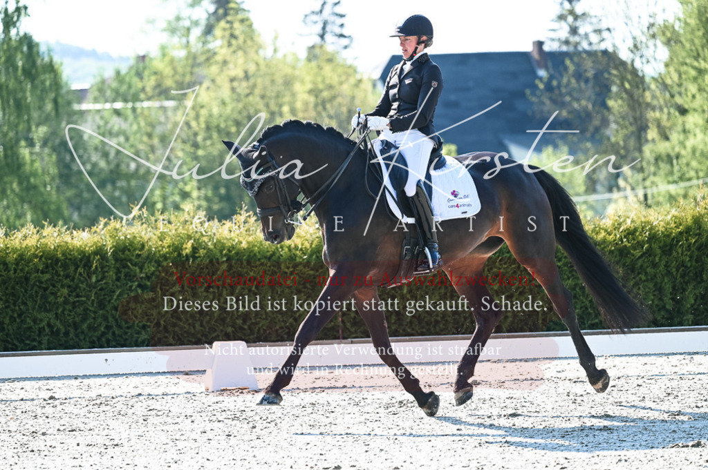 20230514_JK-Röhrsdorf-18-022 | Pferde- und Turnierfotografie in Westsachsen. Pferdeportraits, Auftragszeichnungen und intuitive Kunst.