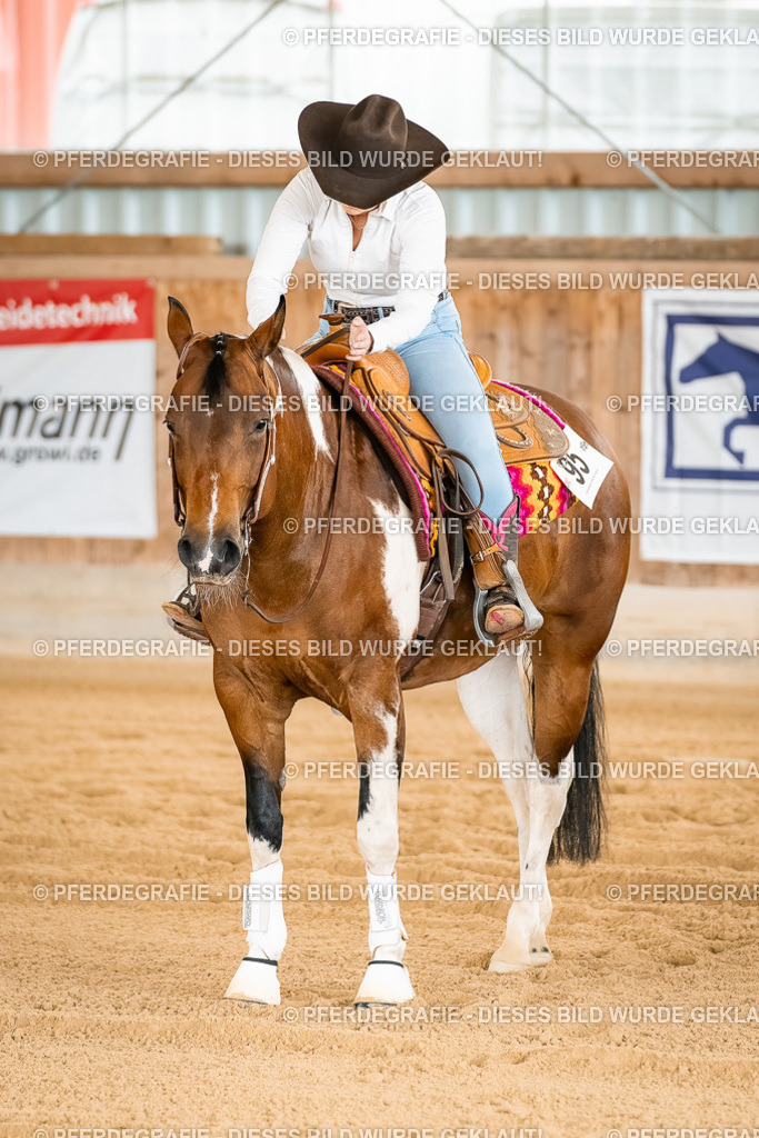 DSC02510 | Pferdegrafie