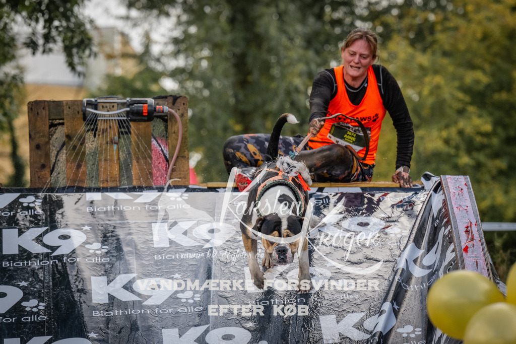 1517_ZZ94318 | kk-dogfotos