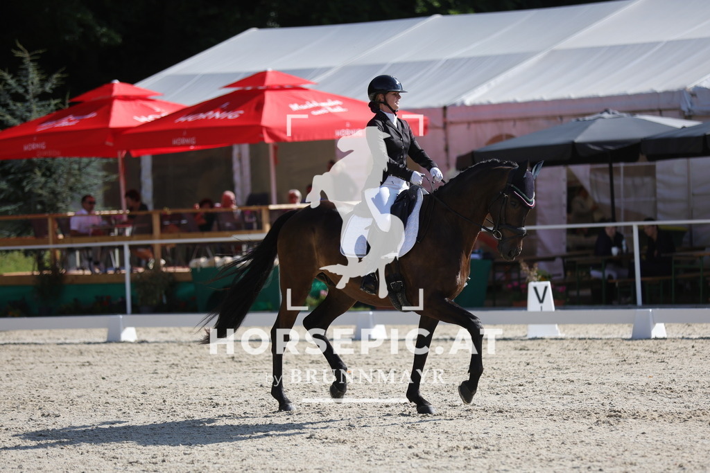 0P6A4571 | Willkommen bei Brunnmayr - Design & Fotografie – Ihrem Spezialisten für Reitturniere und Pferdeveranstaltungen in Oberösterreich, Salzburg und Bayern! Seit über 17 Jahren sind wir leidenschaftlich dabei.