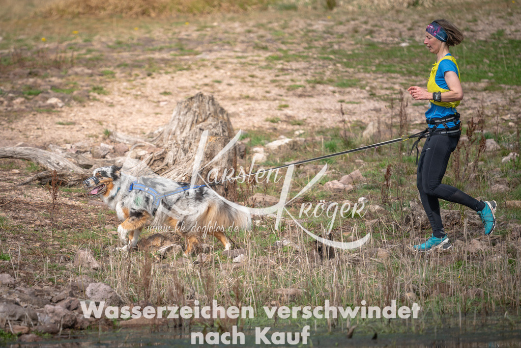 1059DZ6_2526 | kk-dogfotos