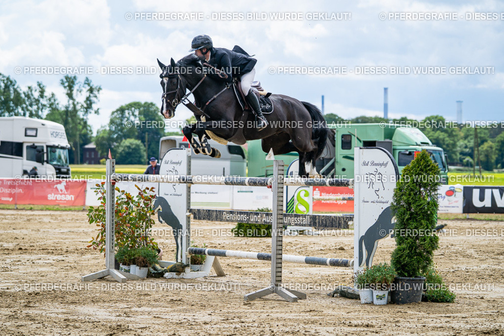 DSC05775 | Pferdegrafie