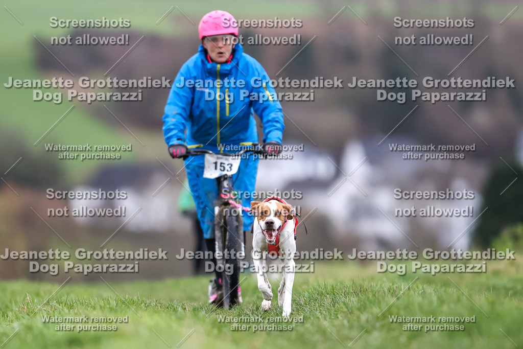 Dog Paparazzi - Herkules Race  2025-38 | Dog Paparazzi Jeanette Grottendiek Fotografie & Videografie - Realisiert mit Pictrs.com
