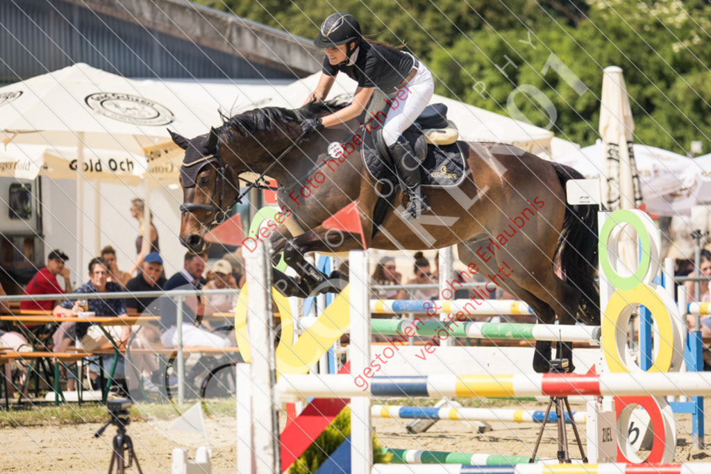 IMG_9704 | Sport-, Event- und Tierfotos in Profiqualität. Einfach auswählen, bestellen und herunterladen. Dein Moment – perfekt festgehalten.