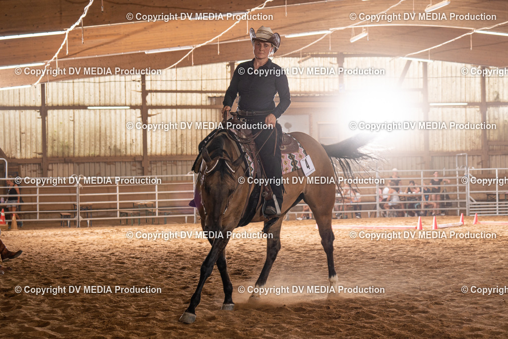 NID00793 | dv-media-shop - Realisiert mit Pictrs.com