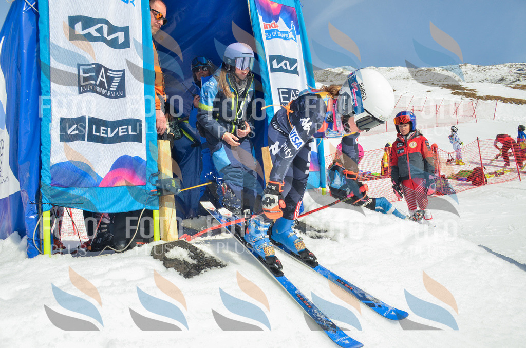 _ELE5299 | holidayphoto