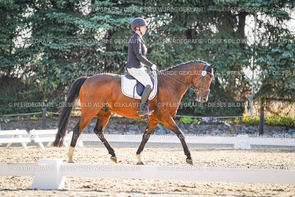 DSC09020 | Pferdegrafie