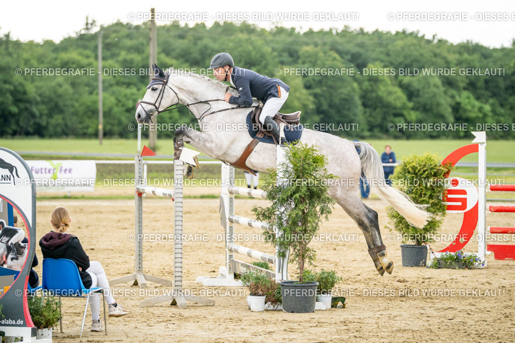 DSC07065 | Pferdegrafie