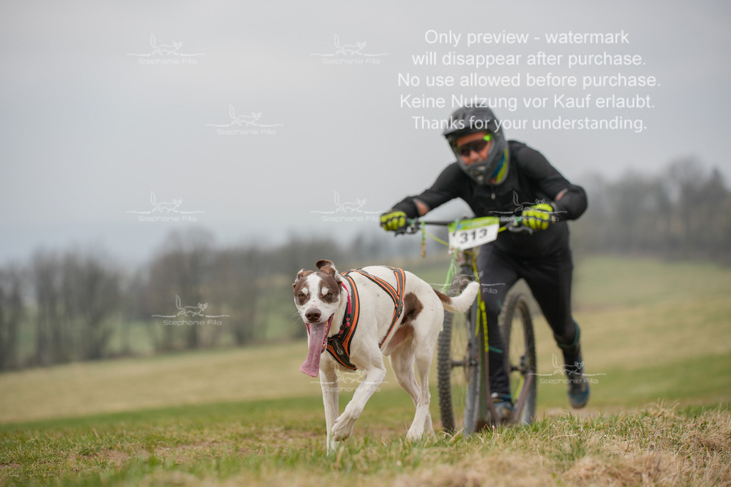 ScooterSA-67 | stephaniefillaphotographie - Realisiert mit Pictrs.com