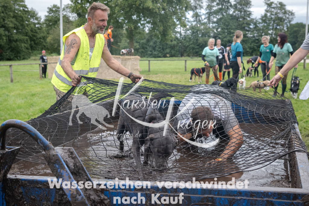 _ZZ93175 | kk-dogfotos