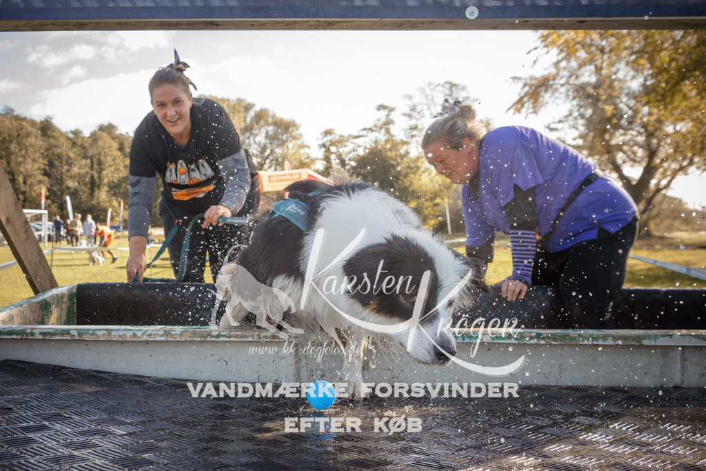 1202_ZZ94272 | kk-dogfotos