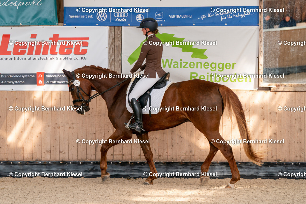 2A900670 | foto-team-bernhard - Realisiert mit Pictrs.com