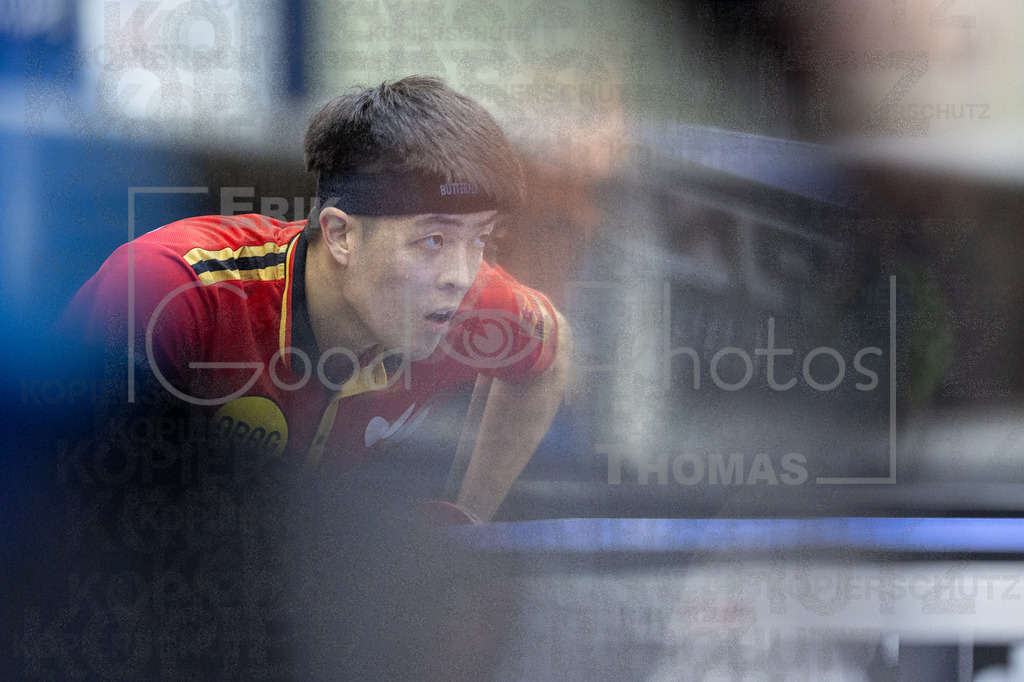 European_Championships_2024-10-17_228 | good-photos - Realisiert mit Pictrs.com