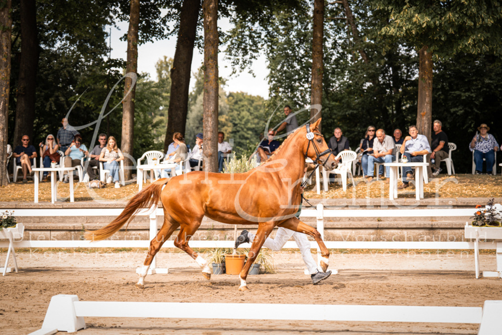 7.Fr00035 | Leoni Ertmer Photography - Realisiert mit Pictrs.com