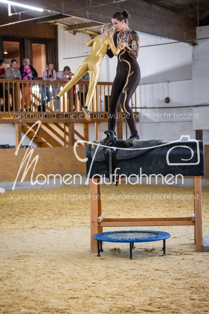 Holzpferd-070 | MomenTaufnahmen Pferdesportfotos