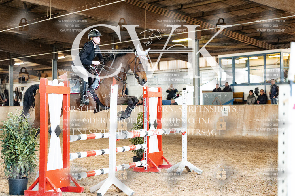CK905241 | Turnierfotografie Pferdefotografie Trier Rheinland-Pfalz Pferdesport Reitsport Tierfotografie Sportfotografie Pferdevideo Pferdevideografie Equestrianvideography equestrianphotography  - Realisiert mit Pictrs.com