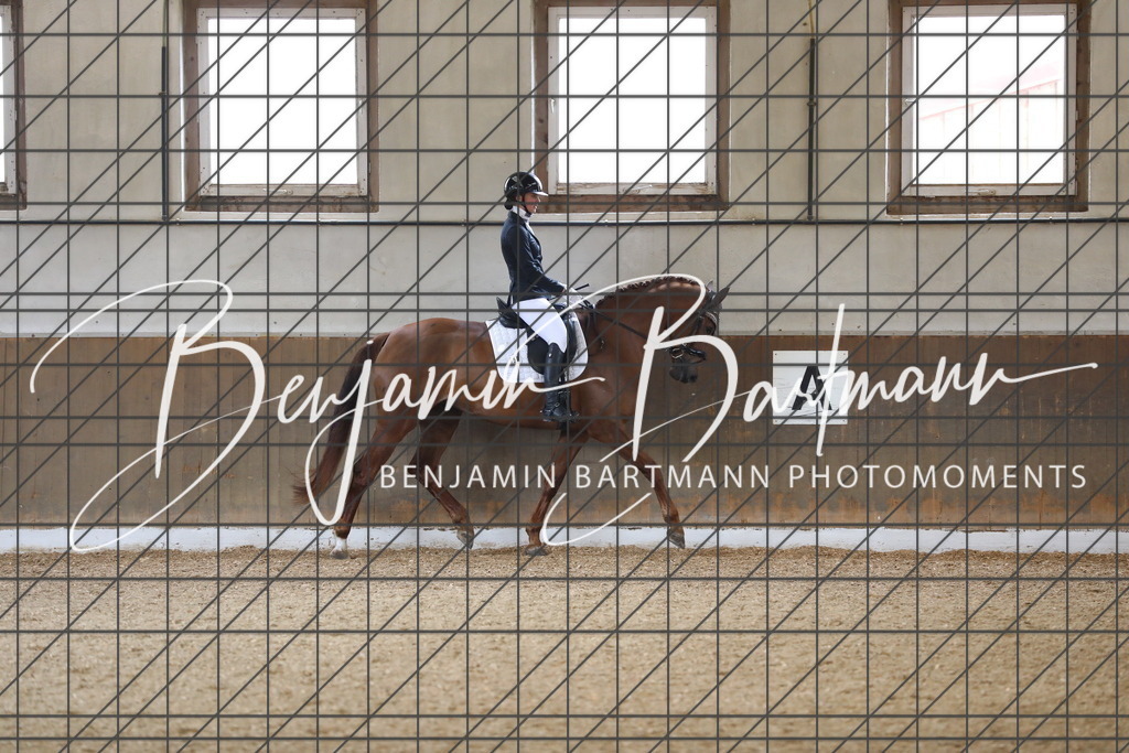 AZ2A0455 | Benjamin Bartmann Photomoments