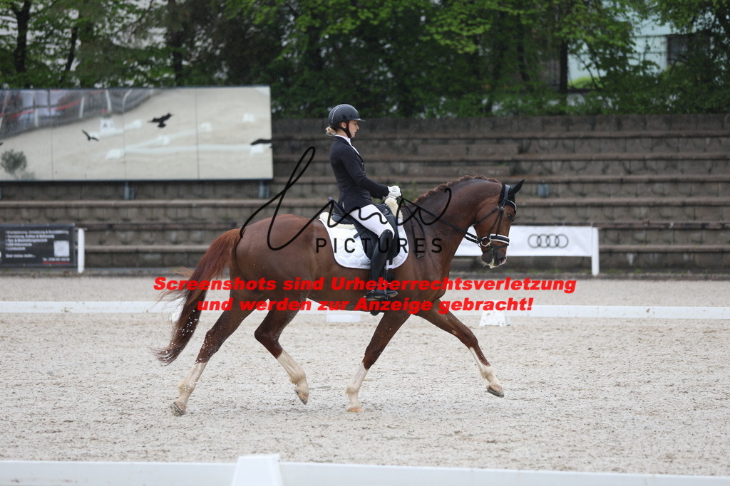 A40A7857 | lmwpictures - Realisiert mit Pictrs.com