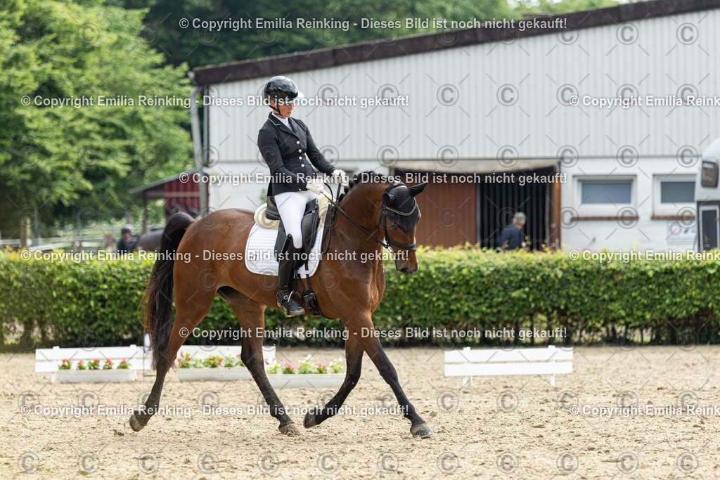 CL5A4726 | Emilia Reinking Fotografie - Realisiert mit Pictrs.com