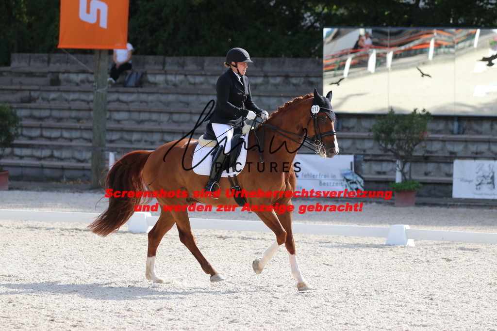 IMG_5653 | lmwpictures - Realisiert mit Pictrs.com