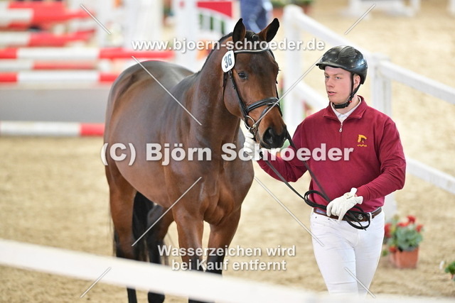 36_Diego de Semilly - Carleyle_790_8084 | Björn Schroeder Pferdefotografie