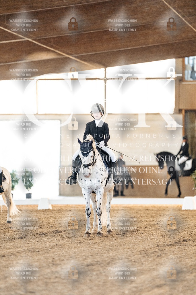 CK906358 | Turnierfotografie Pferdefotografie Trier Rheinland-Pfalz Pferdesport Reitsport Tierfotografie Sportfotografie Pferdevideo Pferdevideografie Equestrianvideography equestrianphotography  - Realisiert mit Pictrs.com