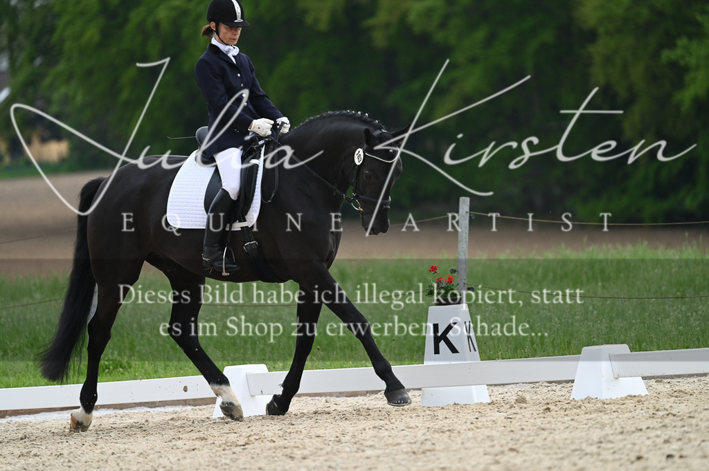 20230512_JK-Röhrsdorf-02-212 | Pferde- und Turnierfotografie in Westsachsen. Pferdeportraits, Auftragszeichnungen und intuitive Kunst.