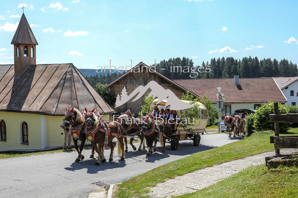 OE7A8379 | die Gespanne erreichen Schönanger