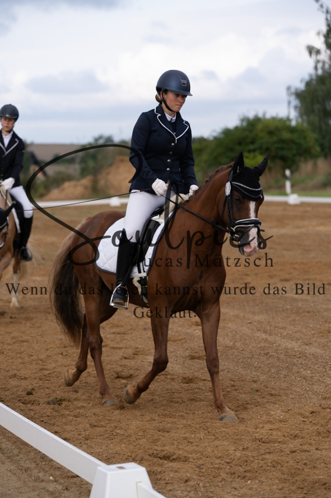 A7V03775 | Turnier/Reitfotograf