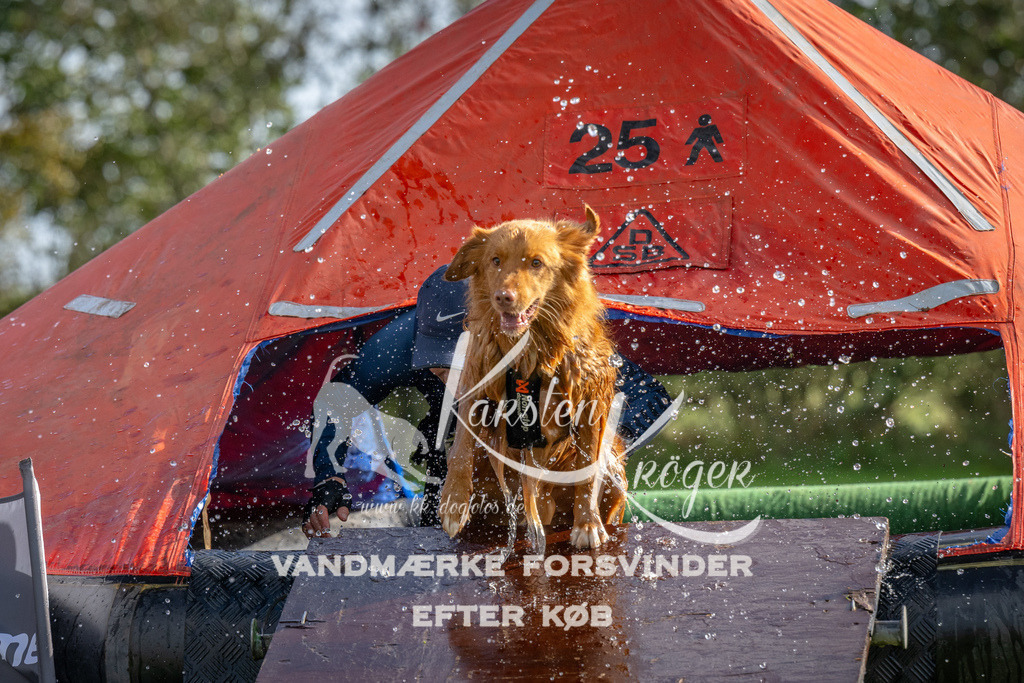 1208-92560 | kk-dogfotos