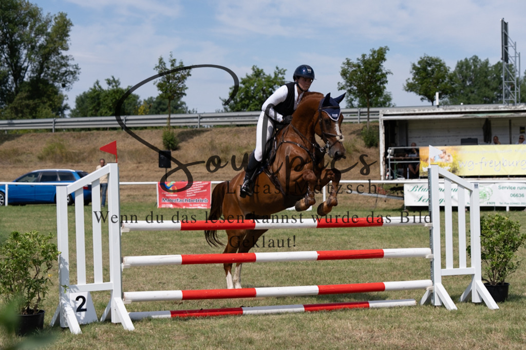 A7V01732 | Pferdefotograf