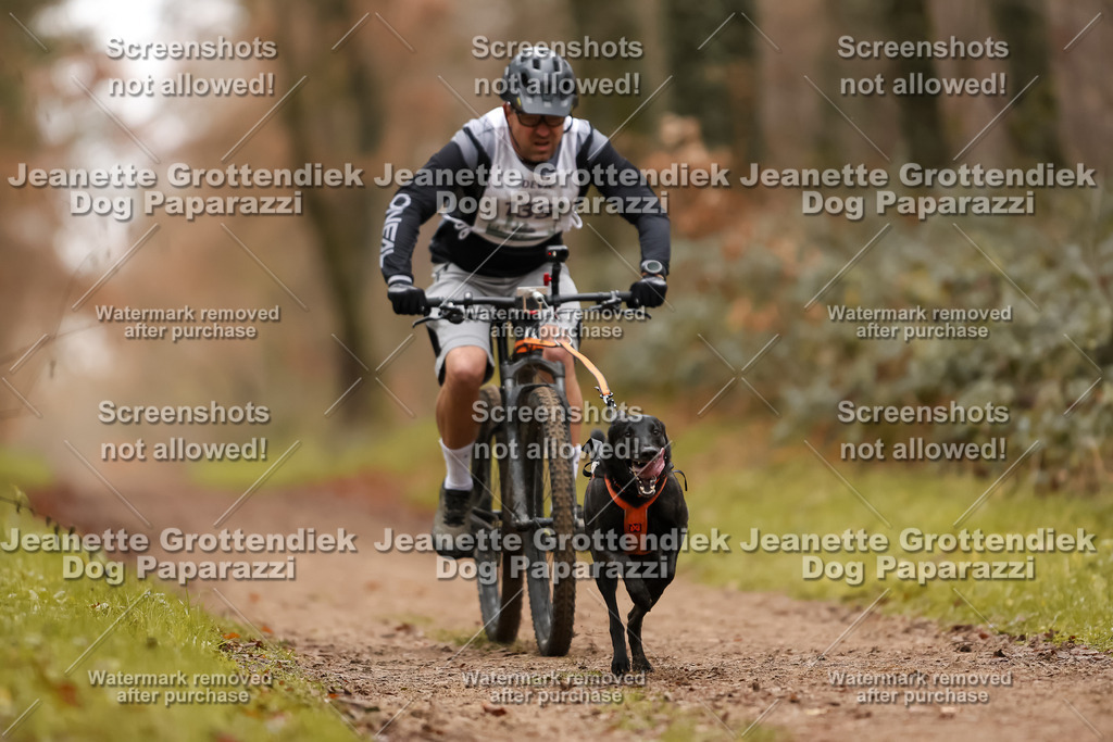 Dog Paparazzi - Speedhunter Mannheim  2025-380 | Dog Paparazzi Jeanette Grottendiek Fotografie & Videografie