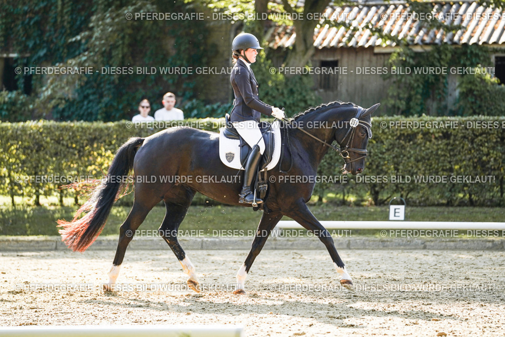 DSC06658 | Pferdegrafie