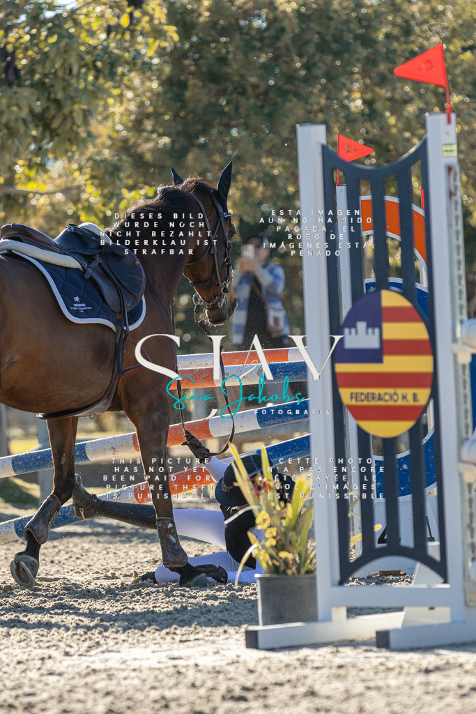 IMG_2129 | s-jay-photography - Realisiert mit Pictrs.com