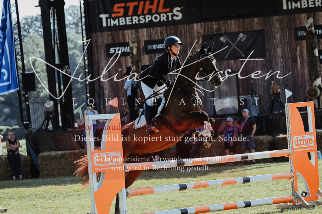 DSC_5580 | Pferde- und Turnierfotografie in Westsachsen. Pferdeportraits, Auftragszeichnungen und intuitive Kunst.