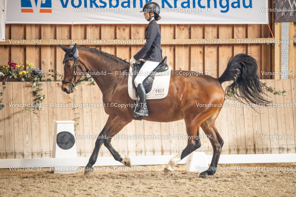 _D5A1379 | Emotionale Pferde- & People-Fotografie rund um Heidelberg, Leimen & Umgebung. Natürliche Fotos von Pferd, Mensch & Familie. Jetzt Termin sichern!