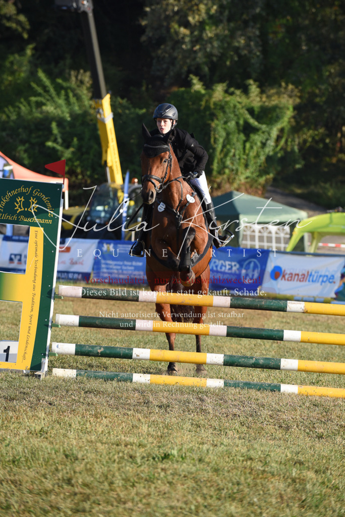 DSC_4812 | Pferde- und Turnierfotografie in Westsachsen. Pferdeportraits, Auftragszeichnungen und intuitive Kunst.