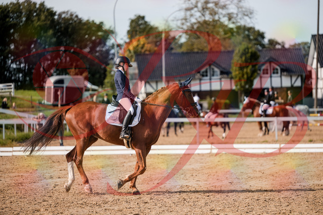 2026_10_03_Siefer-Hof_123530_Z63_53667566 | Professionelle Reitsport-, Turnier- und Eventfotografie von Robert Broda. Galerien mit ausgewählten und bearbeiteten Bildern direkt online ansehen und bestellen.