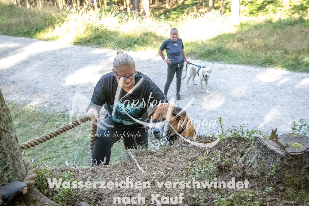 1201_ZZ93002 | kk-dogfotos