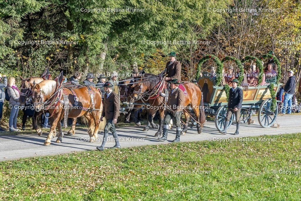 LBT25-463 | foto-bettina-krinner - Realisiert mit Pictrs.com
