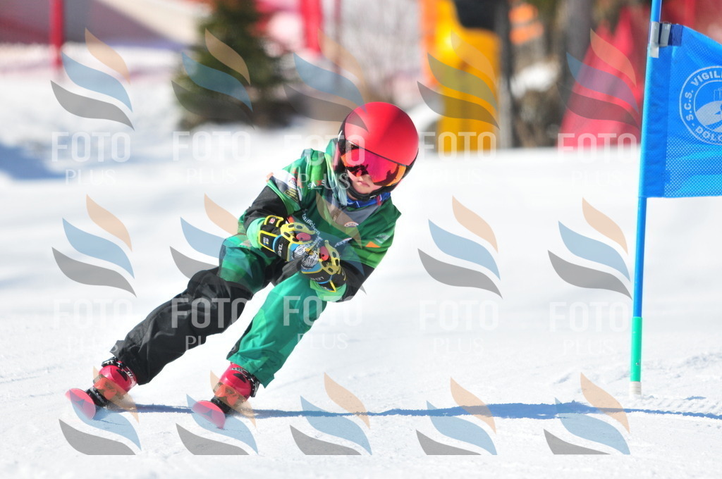 C2809 | holidayphoto