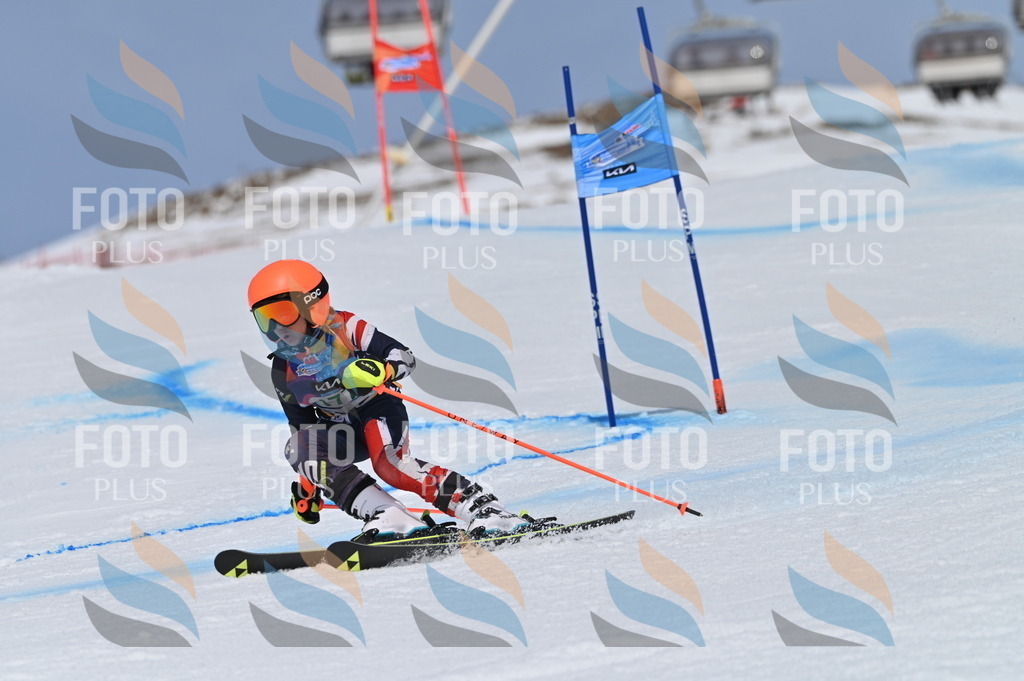 BGV_3495 | holidayphoto