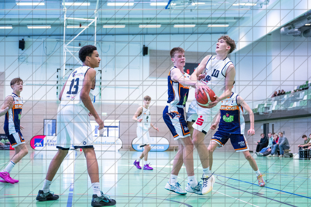 JBBL 24/25 | 19.01.2025 | Charisma Young Bulls vs. Rostock Seawolves | JBBL 24/25 | 19.01.2025 | Charisma Young Bulls vs. Rostock Seawolves - - - - - CREDIT, www.bullenfotos.de, Martin König, Hörner Weg 40, D-49078 Osnabrück, +4917663732967, Nutzung und Weitergabe nur zu den vereinbarten Zwecken. Presseanfragen an Urheber. Alle Rechte beim Urheber. - - - - - - Realisiert mit Pictrs.com