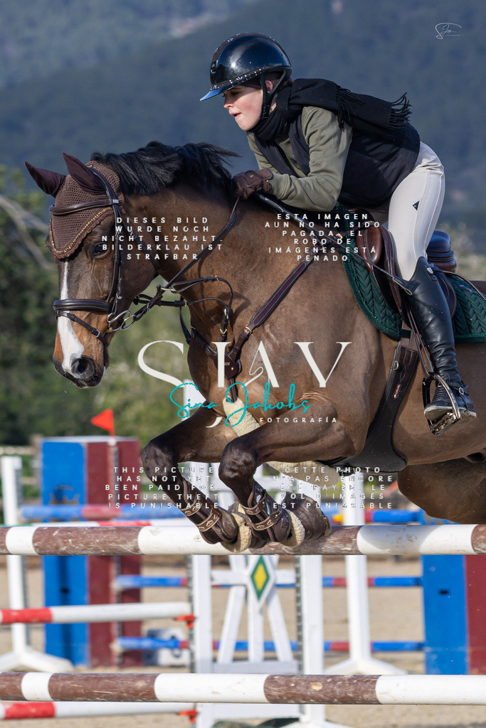 IMG_5823 | s-jay-photography - Realisiert mit Pictrs.com