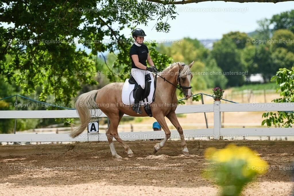 20230715_09_Dressur-WB_0532 | equistock