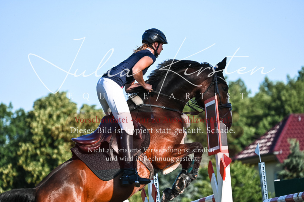 DSC_3114 | Pferde- und Turnierfotografie in Westsachsen. Pferdeportraits, Auftragszeichnungen und intuitive Kunst.
