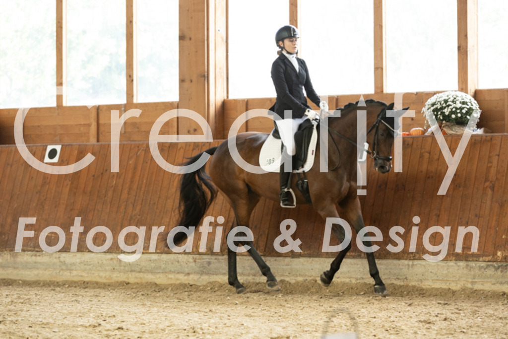 IMG_1539 | Creatify Fotografie